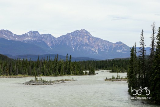 Athabasca River in Jasper and Banff National Park