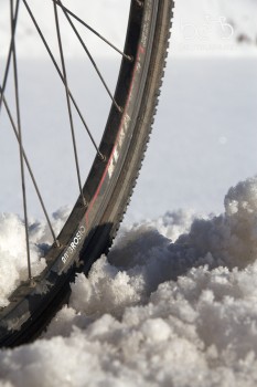 Wheel in the snow