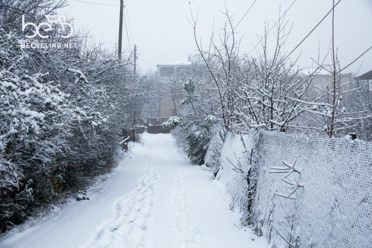 Snow in Gurjaani
